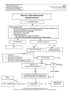 Faecal incontinence care pathway