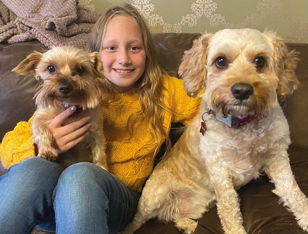 Lola sitting in a sofa, together with two dogs