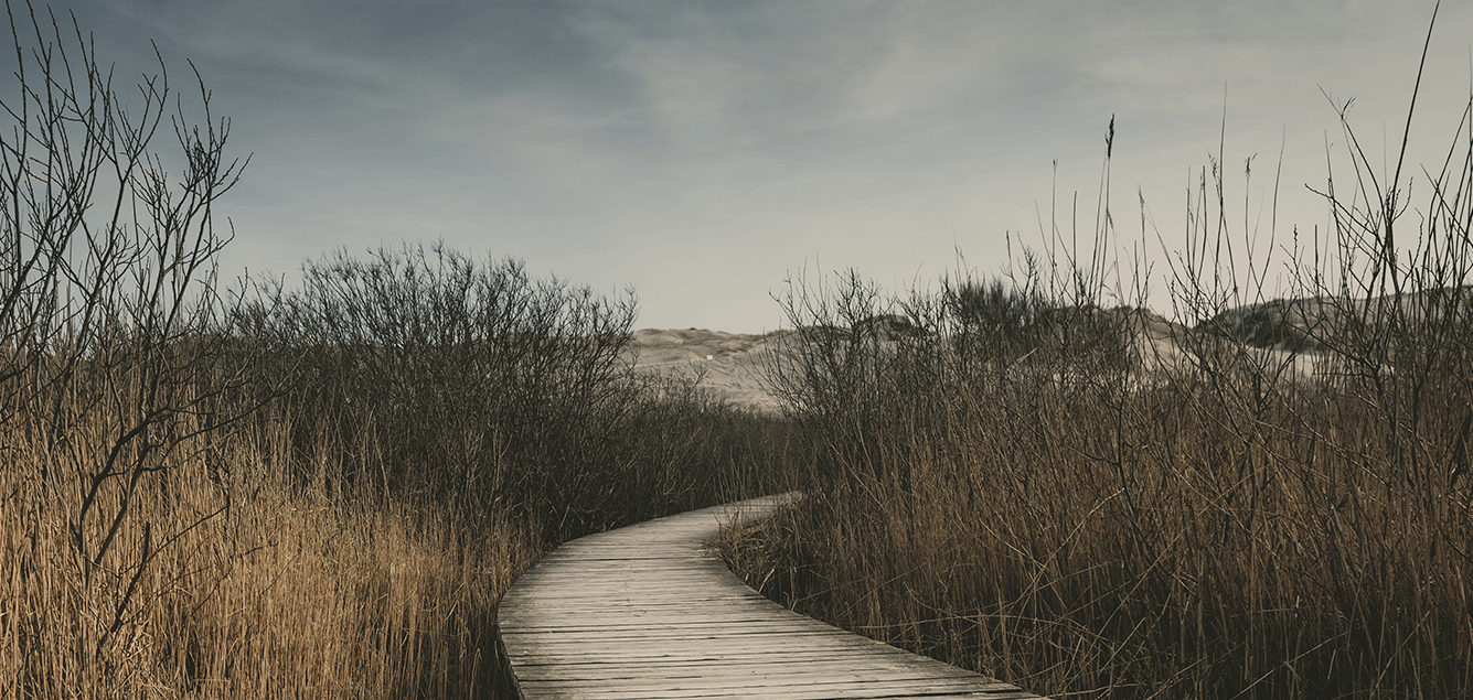 Nature path