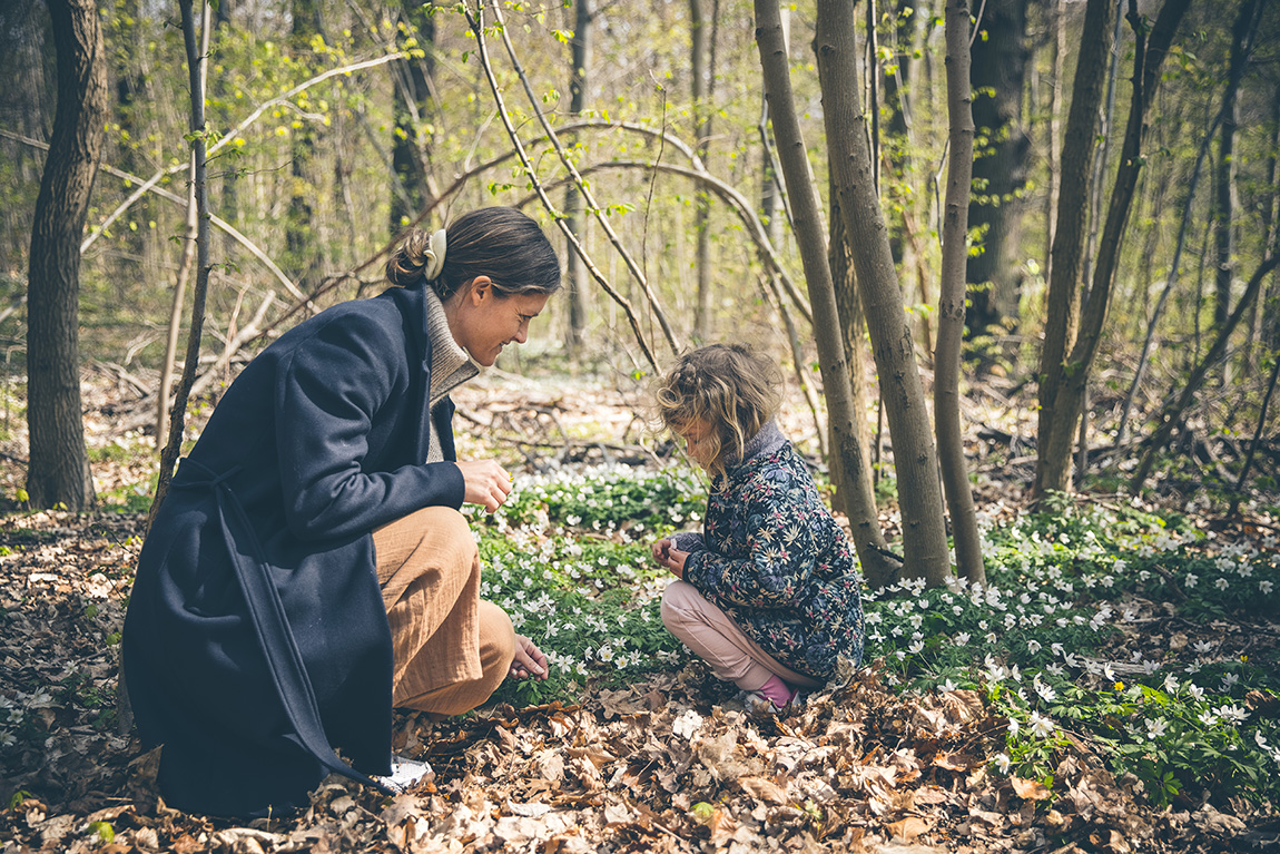 A mother and her daughter looking at windflowers in the forrest