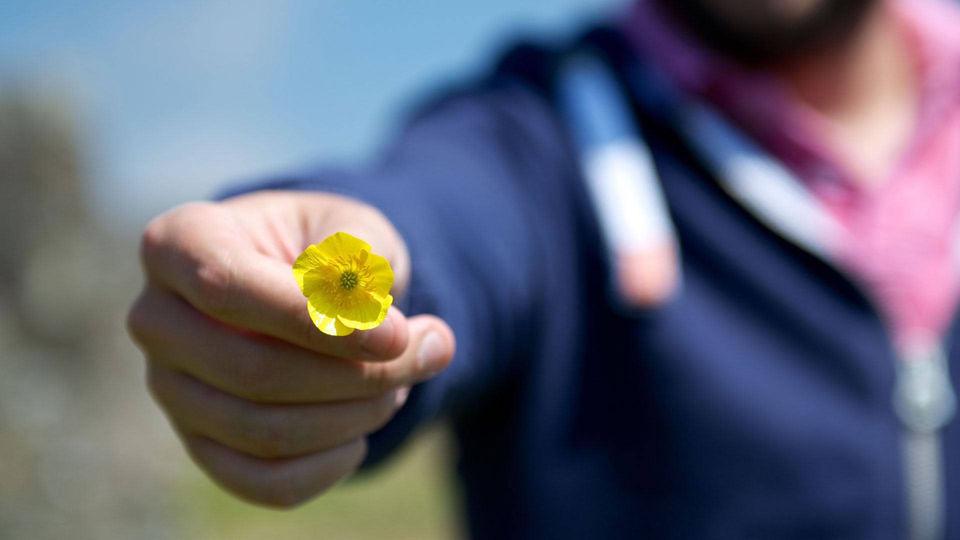 Hand holding a small yellow flower